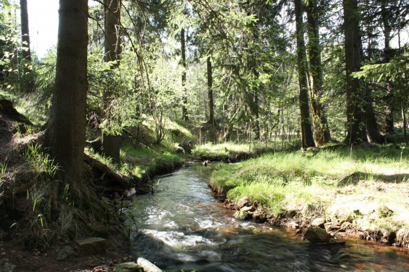 Randonnées autour des Demeures des 2 sources